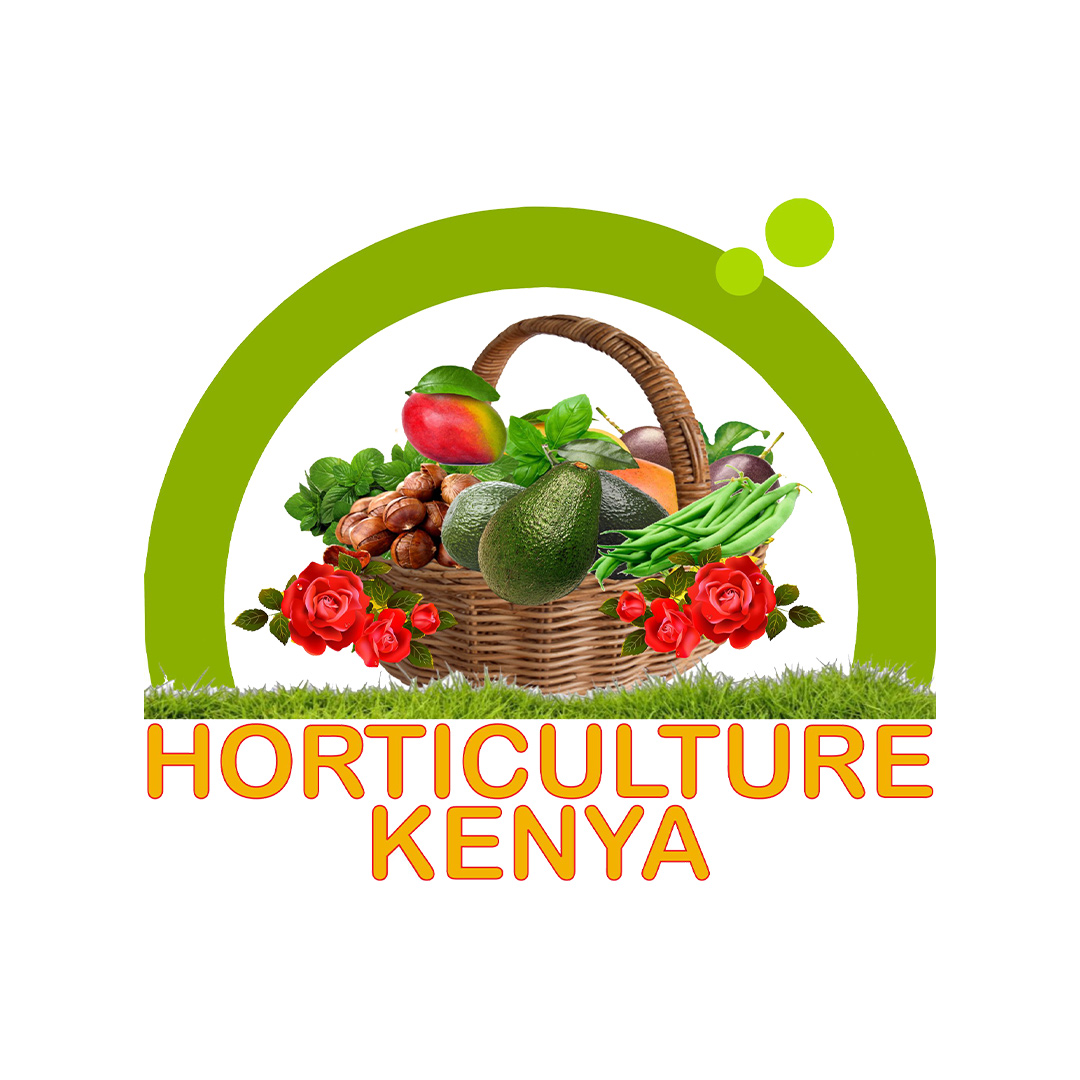 Horticulture Kenya LTD