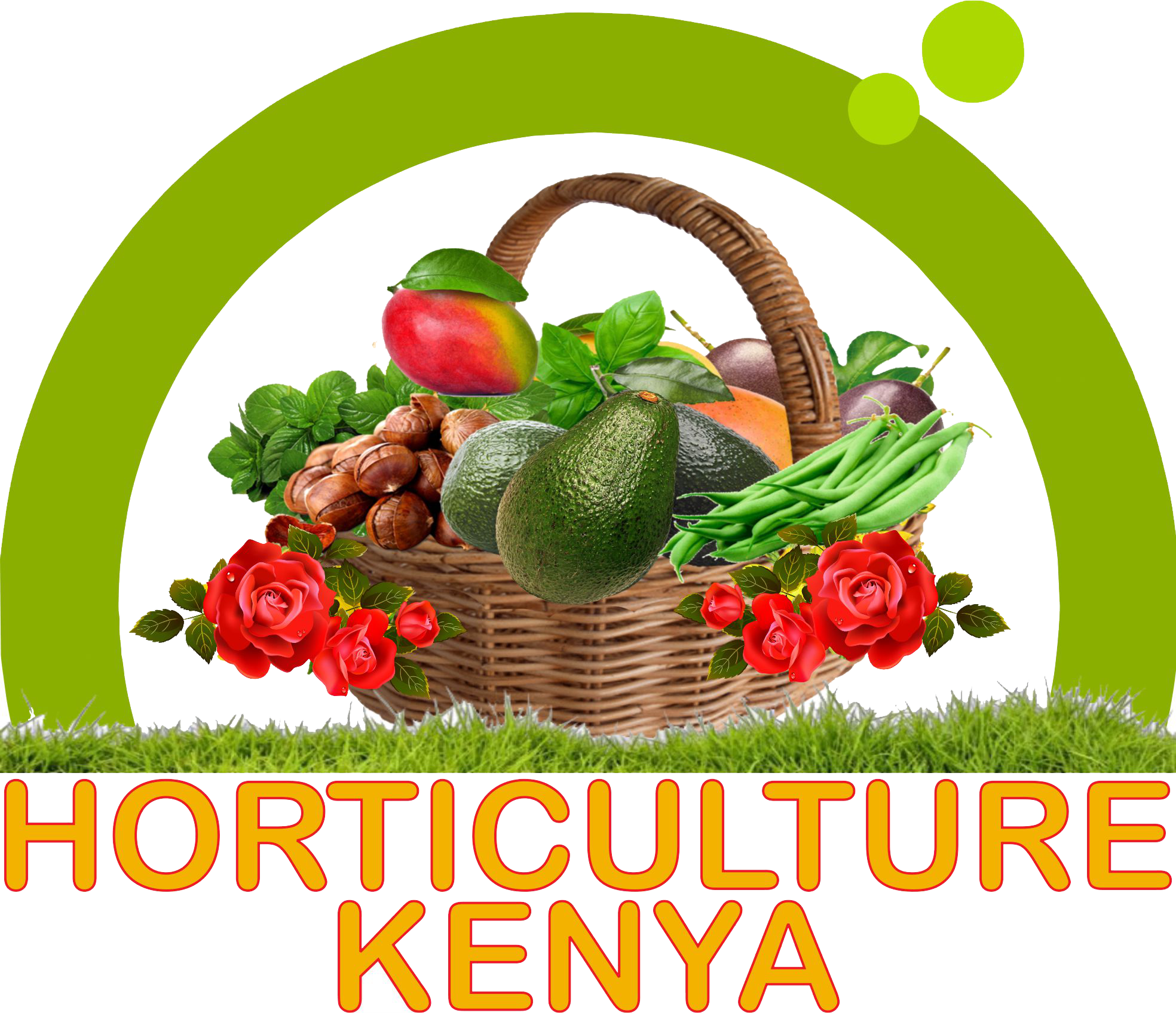 Horticulture Kenya LTD